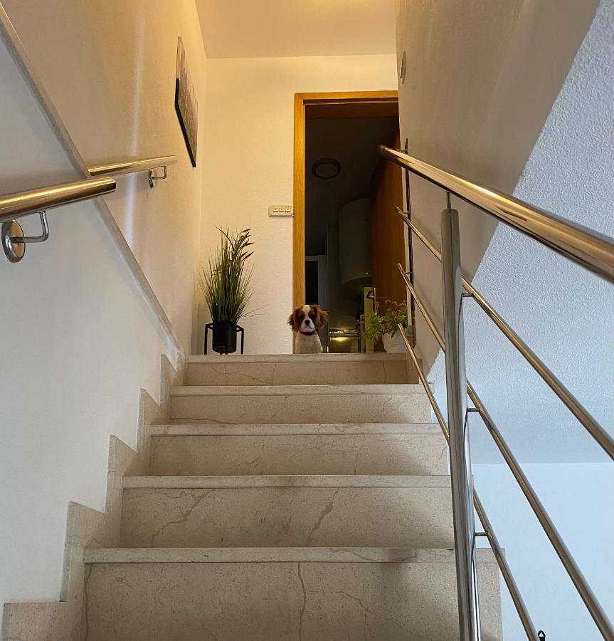 Mediterano Apartment - City Center Split Dış mekan fotoğraf