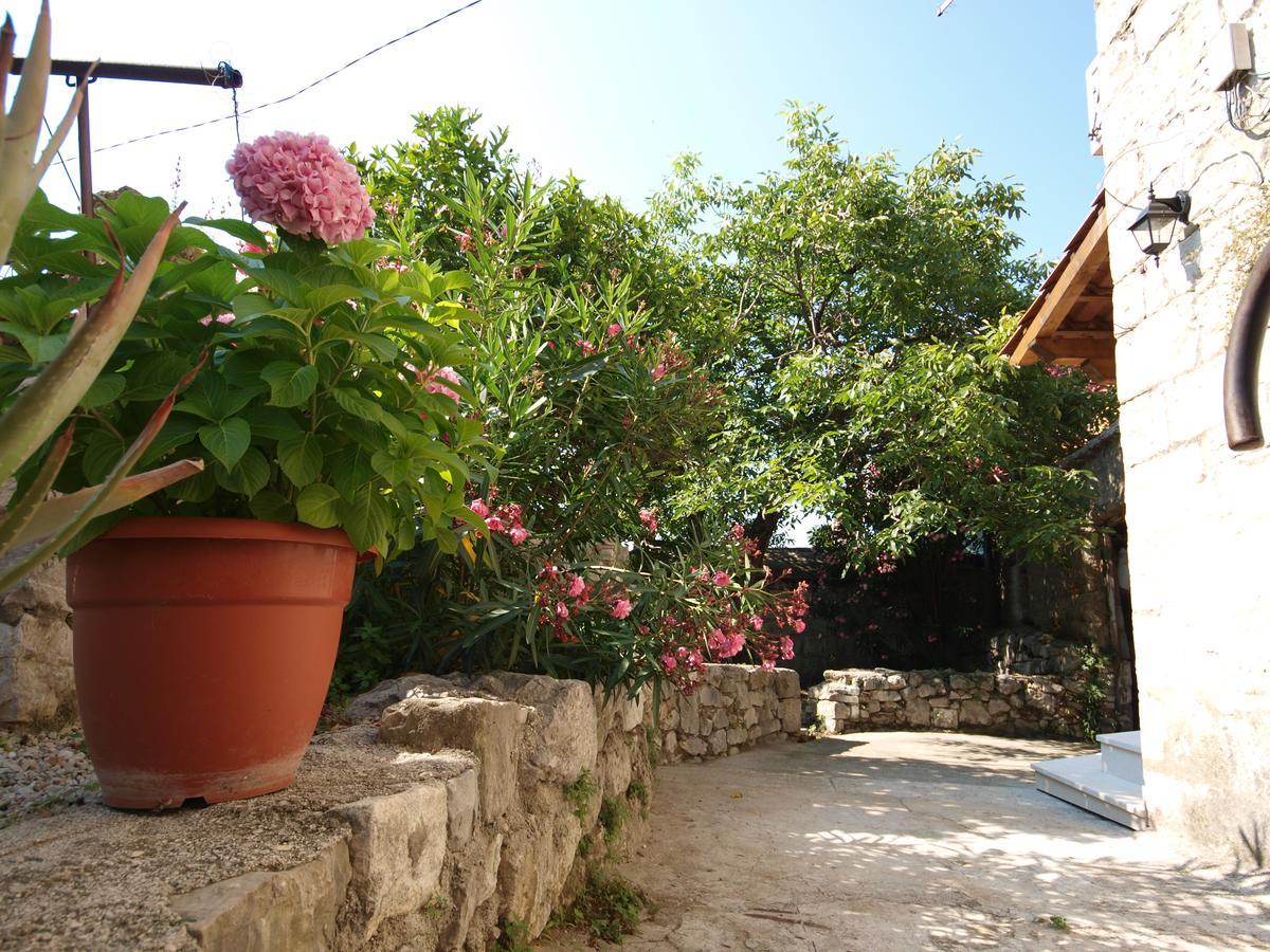 Mediterano Apartment - City Center Split Dış mekan fotoğraf